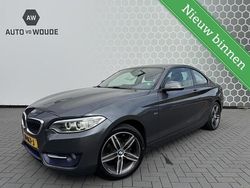 Grijs Gebruikt 2016 BMW 218 M Sport Coupé | € 16.950 (Duur)
