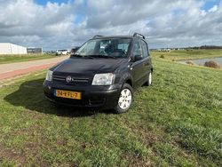 Zwart Gebruikt 2009 Fiat Panda Hatchback | € 1.650 (Goede deal)