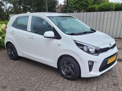 Wit Gebruikt 2019 Kia Picanto Hatchback | € 7.950 (Goede deal)