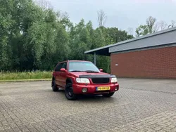 Rood Gebruikt 2002 Subaru Forester SUV | € 3.500