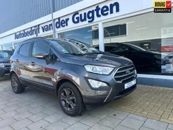 Grijs Gebruikt 2020 Ford Ecosport Titanium SUV | € 16.950 (Eerlijke prijs)