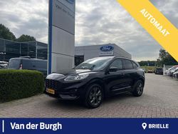 Zwart Gebruikt 2023 Ford Kuga ST-Line X SUV | € 32.990 (Iets duurder)