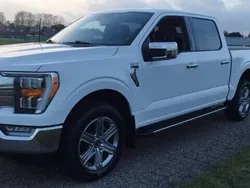 Wit Gebruikt 2021 Ford F-150 Pickup | € 54.945