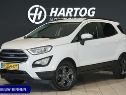 Wit Gebruikt 2018 Ford Ecosport Titanium SUV | € 10.940 (Eerlijke prijs)
