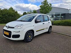 Wit Gebruikt 2014 Fiat Panda Young Hatchback | € 4.950 (Eerlijke prijs)