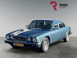 Blauw Gebruikt 1981 Jaguar XJ Sedan | € 14.950