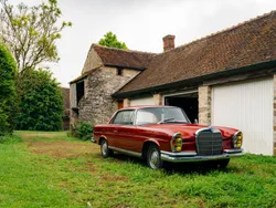 Rood Gebruikt 1967 Mercedes 250 SE Coupé | € 29.500