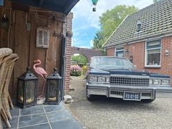 Blauw Gebruikt 1980 Cadillac Deville Sedan | € 6.950