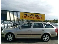 Bruin Gebruikt 2007 Skoda Octavia Stationwagen | € 2.490