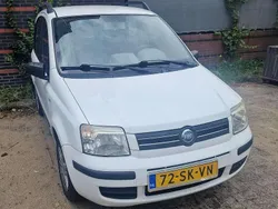 Wit Gebruikt 2006 Fiat Panda Hatchback | € 1.200 (Goede deal)