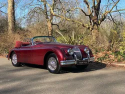 Anders Gebruikt 1957 Jaguar XK S Cabriolet | € 151.614