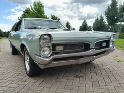 Groen Gebruikt 1967 Pontiac GTO | € 48.500