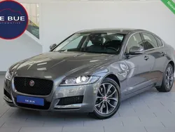 Grijs Gebruikt 2019 Jaguar XF R-Sport Sedan | € 25.911 (Goede deal)