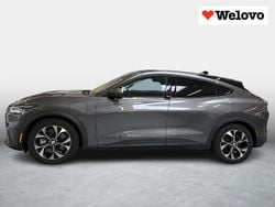 Grijs Gebruikt 2021 Ford Mustang SUV | € 19.899