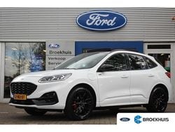 Wit Gebruikt 2024 Ford Kuga ST-Line X SUV | € 38.895