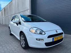 Wit Gebruikt 2013 Fiat Punto Pop Hatchback | € 2.999 (Goede deal)