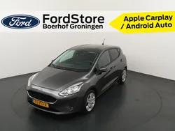 Grijs Gebruikt 2018 Ford Fiesta Trend Hatchback | € 10.890 (Iets duurder)