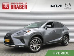 Grijs Gebruikt 2020 Lexus NX300h Sport Line SUV | € 37.495 (Eerlijke prijs)