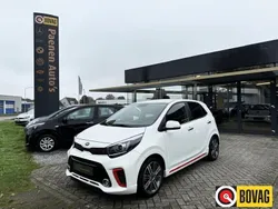 Wit Gebruikt 2019 Kia Picanto GT-Line Hatchback | € 15.750 (Eerlijke prijs)