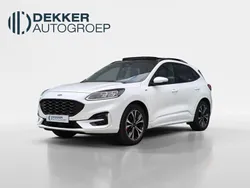 Wit Gebruikt 2020 Ford Kuga ST-Line X SUV | € 25.445 (Duur)