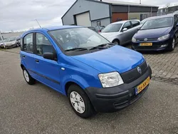 Blauw Gebruikt 2004 Fiat Panda Active Hatchback | € 1.750 (Eerlijke prijs)