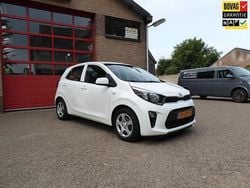Wit Gebruikt 2017 Kia Picanto Hatchback | € 8.450 (Iets duurder)