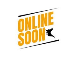 Overige Gebruikt 2010 Toyota Prius Executive Hatchback | € 9.950 (Eerlijke prijs)