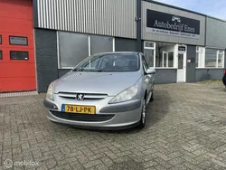 Grijs Gebruikt 2003 Peugeot 307 Hatchback | € 1.250 (Eerlijke prijs)