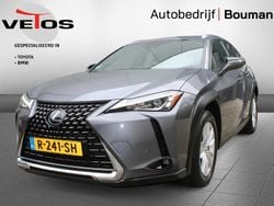 Grijs Gebruikt 2019 Lexus UX 300e SUV | € 23.450