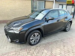 Zwart Gebruikt 2020 Lexus UX 300e Business Edition SUV | € 19.500