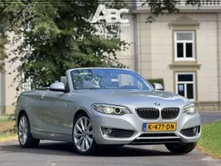 Grijs Gebruikt 2017 BMW 230 Executive Cabriolet | € 21.950