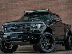 Overige Gebruikt 2014 Ford F-150 Raptor Pickup | € 36.950 (Goede deal)