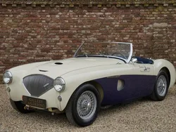 Wit Gebruikt 1953 Austin Healey 100 Cabriolet | € 112.500