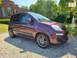 Paars Gebruikt 2013 Fiat Panda Lounge Hatchback | € 3.999 (Eerlijke prijs)