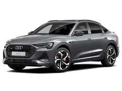 Grijs Gebruikt 2021 Audi e-tron Sportback SUV | € 35.000 (Goede deal)