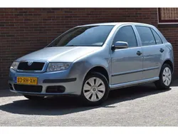 Grijs Gebruikt 2005 Skoda Fabia Ambiente Hatchback | € 1.949 (Eerlijke prijs)