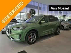 Groen Nieuw 2024 Ford Kuga ST-Line X SUV | € 45.635 (Eerlijke prijs)