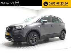 Grijs Gebruikt 2019 Opel Crossland Edition SUV | € 14.750 (Iets duurder)