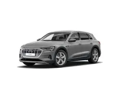 Geel Gebruikt 2019 Audi e-tron Advanced Plus SUV | € 36.840 (Duur)