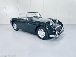 Gebruikt 1960 Austin Healey Sprite | € 18.750