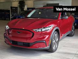 Rood Nieuw 2024 Ford Mustang Mach-E SUV | € 44.970 (Eerlijke prijs)