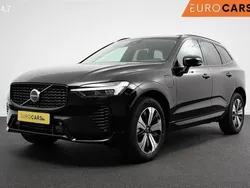 Zwart Gebruikt 2023 Volvo XC60 Plus SUV | € 50.940 (Super prijs)