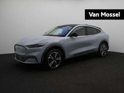 Grijs Gebruikt 2024 Ford Mustang Mach-E SUV | € 49.570