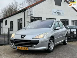 Grijs Gebruikt 2007 Peugeot 307 Premium Hatchback | € 3.999 (Duur)