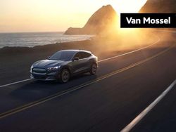 Overig Nieuw 2024 Ford Mustang Mach-E SUV | € 47.820 (Eerlijke prijs)