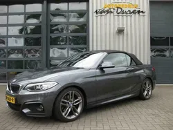 Grijs Gebruikt 2016 BMW 220 M Sport Cabriolet | € 24.500 (Eerlijke prijs)