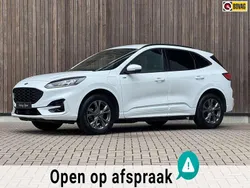 Wit, metallic lak Gebruikt 2024 Ford Kuga ST-Line SUV | € 30.900 (Goede deal)