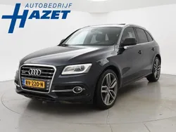 Blauw Gebruikt 2014 Audi SQ5 SUV | € 21.950 (Duur)