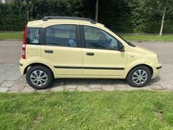 Geel Gebruikt 2005 Fiat Panda Active Hatchback | € 850 (Eerlijke prijs)