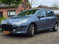 Grijs Gebruikt 2006 Peugeot 307 Hatchback | € 3.000 (Eerlijke prijs)